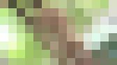温泉美女２　魅惑の体を持つ美女　サンプル画像22