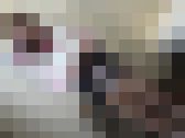 乃木坂にも引けを取らないトップクラスの美貌の持ち主 サンプル画像11