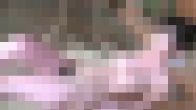 グラビアモデル2 サンプル画像02
