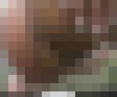 大自然の中で排泄は最高① サンプル画像14