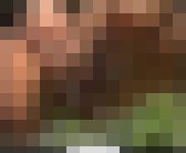大自然の中で排泄は最高②　サンプル画像11
