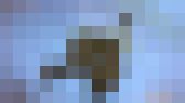 《完全無修正》黒パンストうんこたれギャル　サンプル画像18