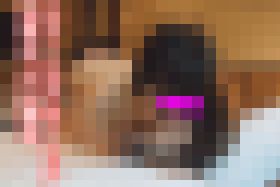 元彼女・泣きホクロが特徴?琴音その1　サンプル画像01