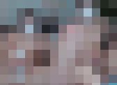 ギャルはえっちだ②　サンプル画像15