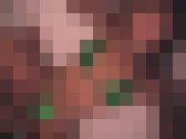 【さくら企画】愛奴Collection vol.13 サンプル画像19