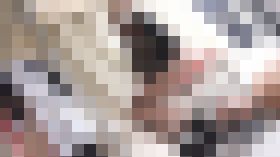 山田便器⑧ サンプル画像03