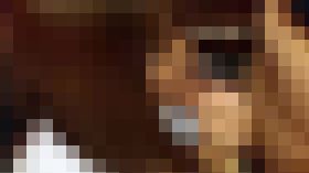 【渋谷相互扶助会】うら若き乙女達Vol.03 サンプル画像03