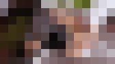 中華系メガネ女子の二穴攻め記録　サンプル画像19