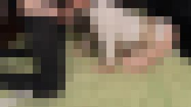犯されてハメられて！好き放題されちゃう女の子！　サンプル画像03