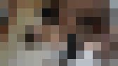 【ドッキリ】かんなちゃん18歳に黒人が勝手に孕ませ托卵中出し! サンプル画像16