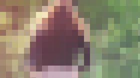 突撃！野外放尿する女の子を追ってみた！2　サンプル画像02