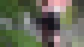 突撃！野外放尿する女の子を追ってみた！2　サンプル画像24
