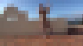 【無修正】?? S級オトコの娘と弾丸ハメ撮り沖縄旅行 ??アナルプラグ挿入??2本のペニスが絡み合う壮絶アナルセックス　サンプル画像02