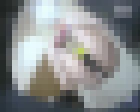 【神アングル】聖水に溺れたいpart３　サンプル画像02