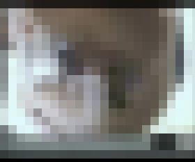 【神アングル】聖水に溺れたいpart５　サンプル画像02