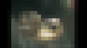 海の家へようこそ サンプル画像01