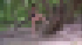 外国人たちの意外な性欲事情　サンプル画像02