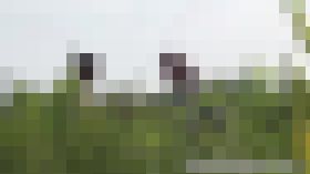 JK悪ノリ放尿映像!3 サンプル画像02