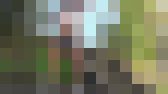野外は私がオナニーするのにうってつけの場所♪　サンプル画像13