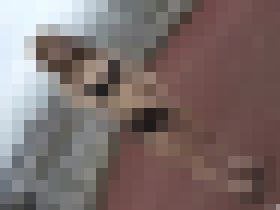 露出の王様④ サンプル画像03