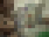 露出の王様④ サンプル画像11