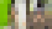 【スプリットタン】顔出し19歳のFカップ超スジパイパン 初撮りで野外露出で超くぱぁ　サンプル画像17