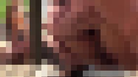 気になるあの子を追いかけたら天国をみることが出来ました サンプル画像03