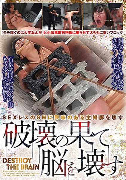 破壊の果て脳を壊す サンプル画像