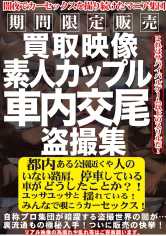 買取映像 素人カップル車内交尾盗撮集 サンプル画像