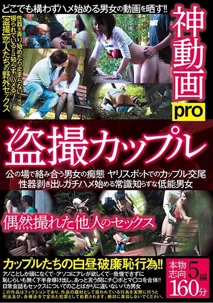 盗撮カップル 神動画pro 偶然撮れた他人のセックス サンプル画像