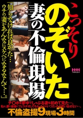 こっそりのぞいた 妻の不倫現場 サンプル画像