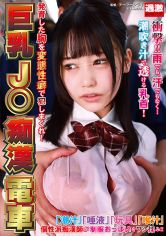 巨乳J○痴●電車 発育した胸を変態性癖で●●まくれ！ サンプル画像