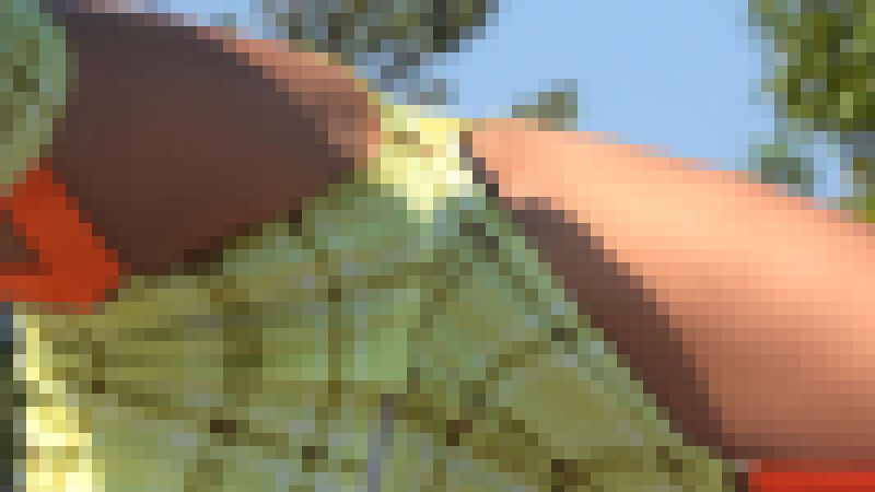 4K 超高画質 ダンス No.006 サンプル画像