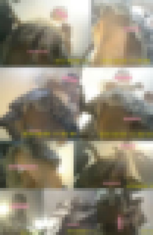 【FHD60fpsリマスター】HD高画質パンチラ逆さ撮り 明るくかわいいダブル店員さんのエロアクティブパンチラ! サンプル画像