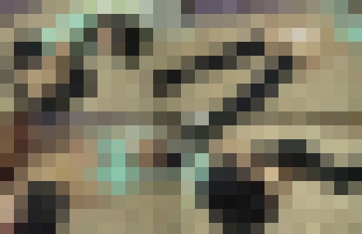 女子大生1年カンナ(仮)(18歳、橋●環奈似、ミニ体型)夜桜…花見…花よりマンコ★★ サンプル画像