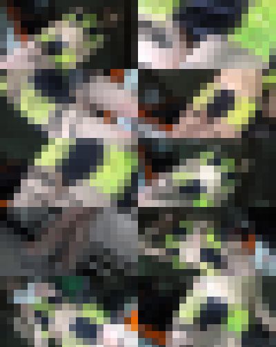 キャンギャル動画106 サンプル画像