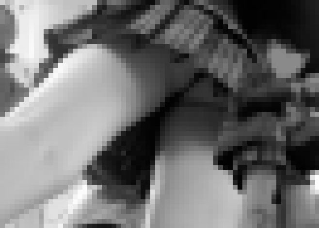 鼓動 最終章 サンプル画像