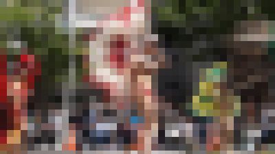 動画だよ！セクシーサンバ #13 サンプル画像