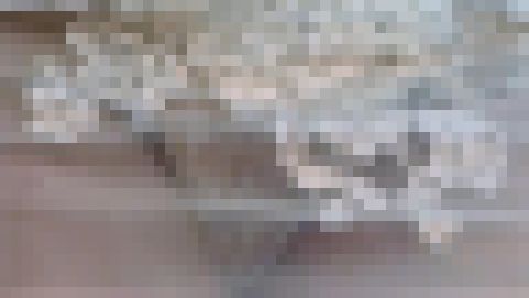 【FHD】S級キャンギャルのローアングル舐め撮り vol.75 サンプル画像