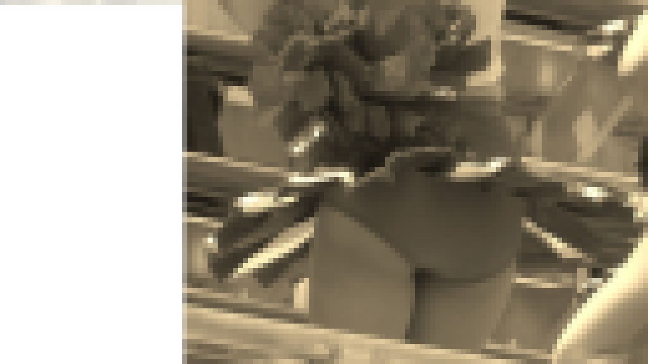 チア１１７ サンプル画像