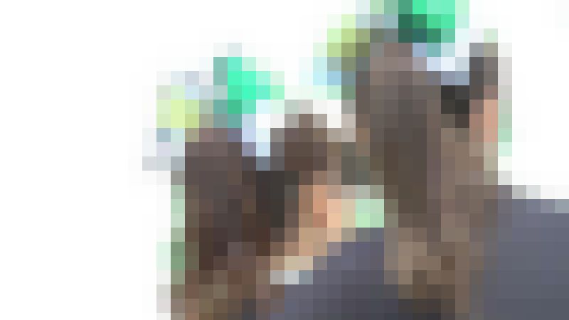 チア１３１ サンプル画像