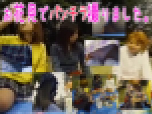 本編２３分未公開部分/ルーズソックスの白パンとかダルパン履いたガ素人パンチラですが承諾済の宴会パンチラっス。画像