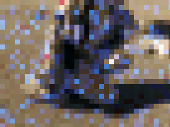 CM95 お気にを同時撮り ドキドキ!コスプレイヤー vol.37動画&静止画SET【YMLY-1037】画像