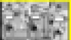 5937／「スウィング撮り・チアセクシーな歌が聞える（97）」 サンプル画像