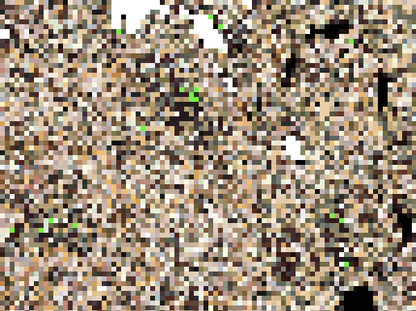 (6分)タワマンに帰宅するJ様の純白 サンプル画像