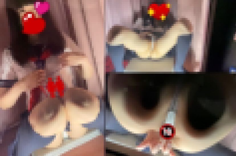 JKを見学した サンプル画像