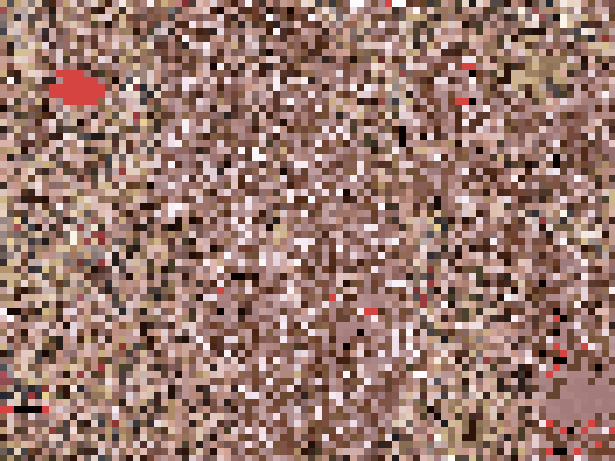 【7分超】女子アナみたいな可愛い娘 サンプル画像