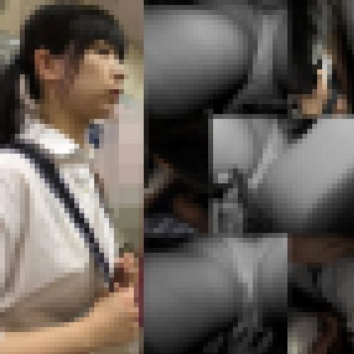 痴漢記録日記【ディレクターズカット版】 サンプル画像