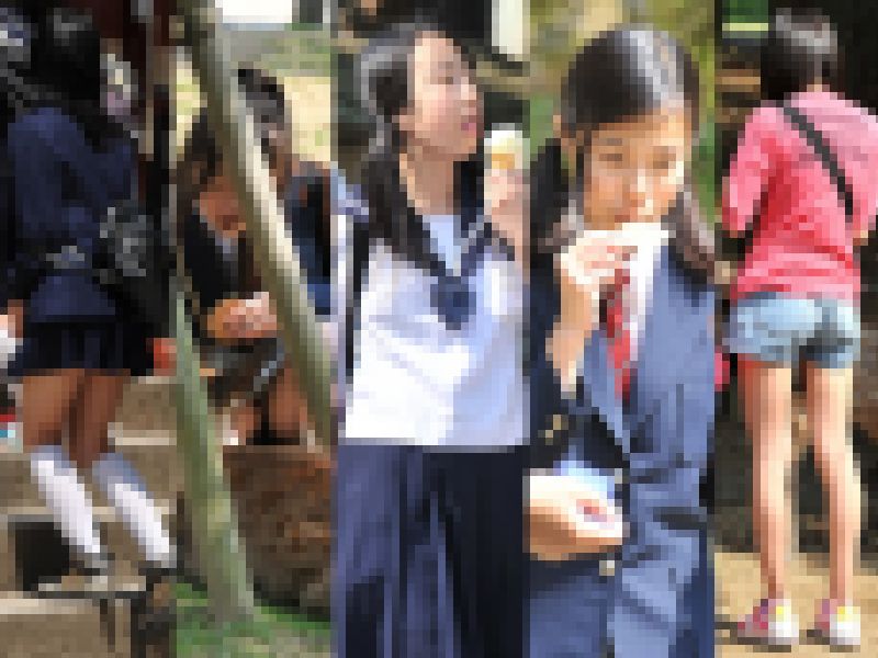 過去Ｃ修学旅行画像 057-061 終 サンプル画像