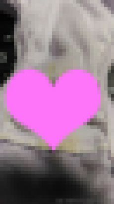 義娘のパンツ考察　その2　※マニア以外は購入しないでください！ サンプル画像